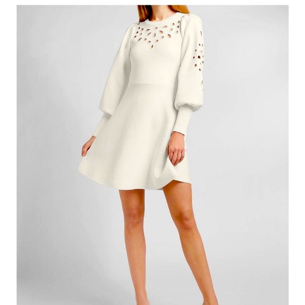 Swan Sweater Dress Size S